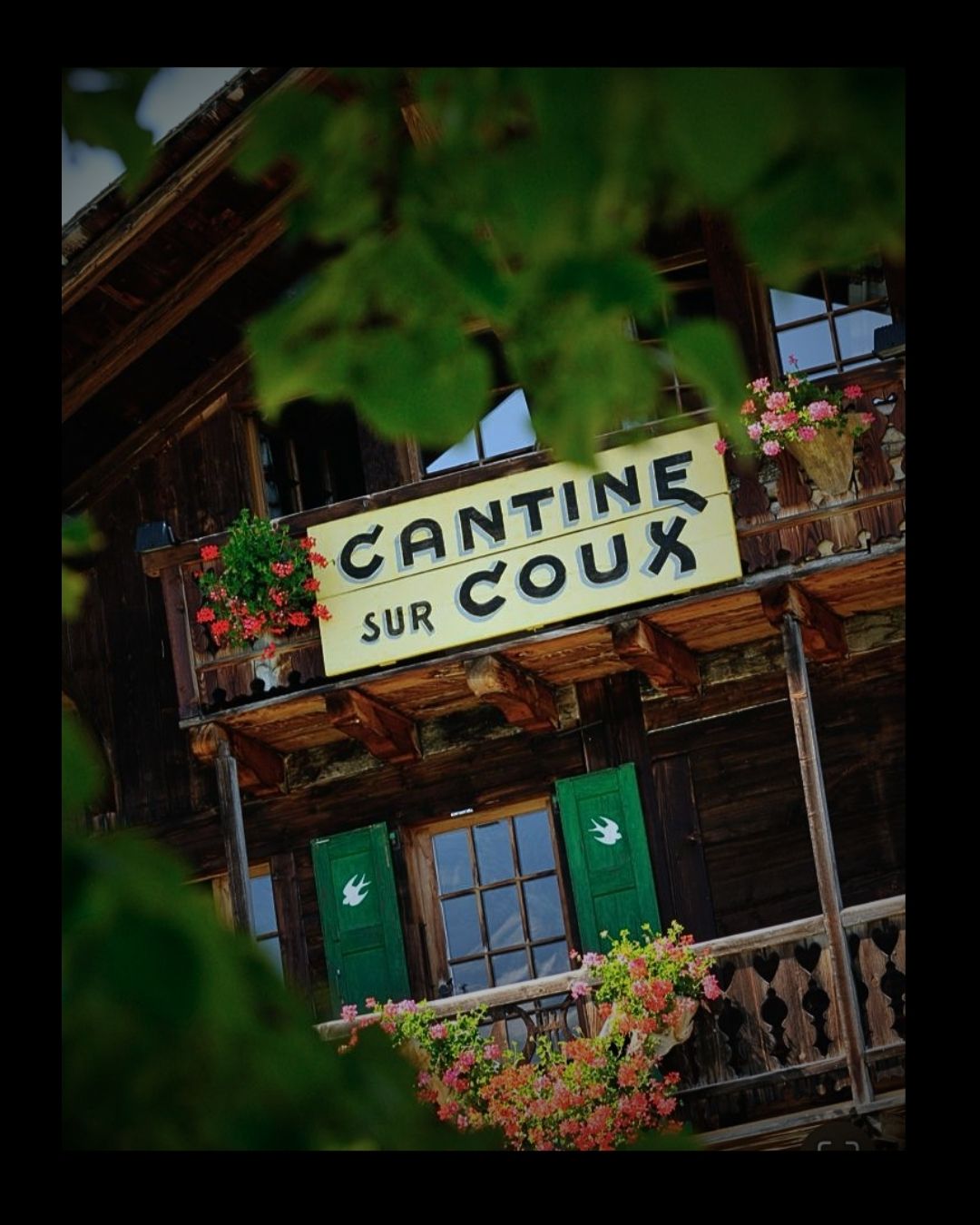 Cantine sur Coux: un savoir-faire authentique au cœur du terroir de Champéry